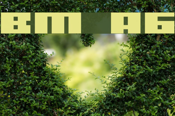 BM rizer A6 Font examples