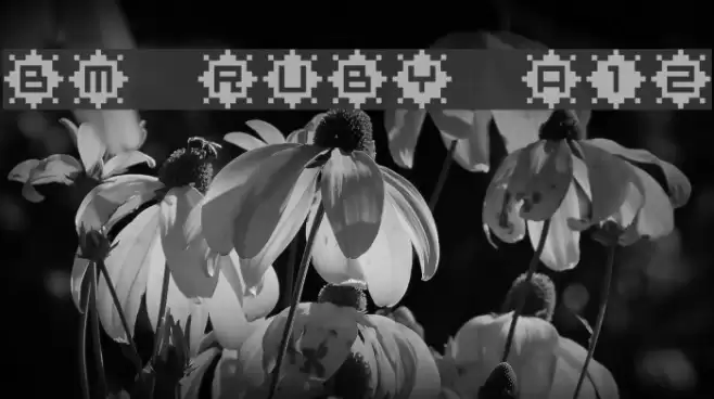 BM ruby A12 Font examples