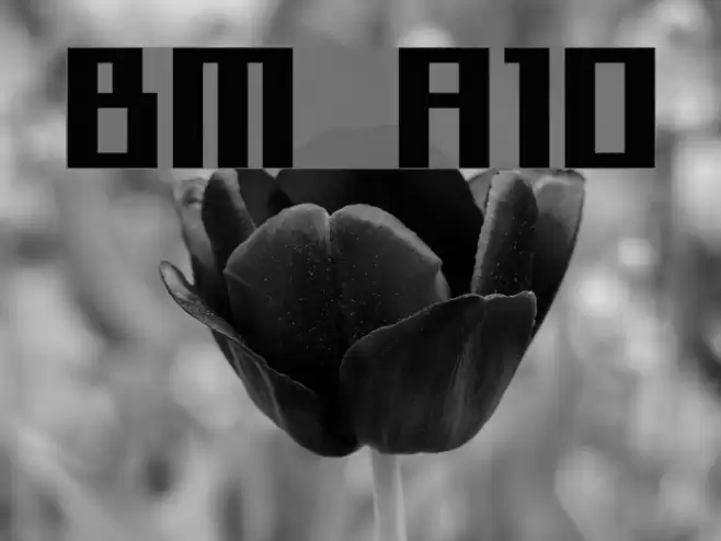 BM sly A10 フォント examples