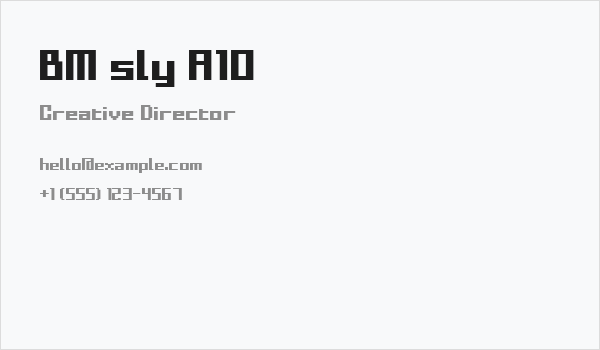 BM sly A10 Business Card