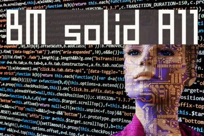BM solid A11 Example 1