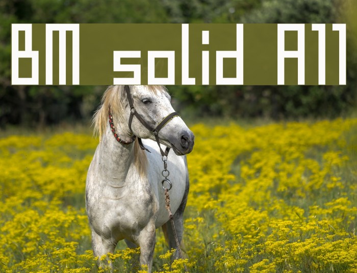 BM solid A11 Font examples