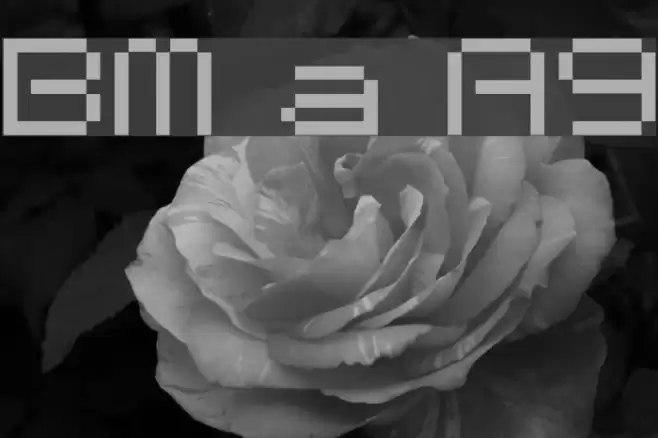 BM space A9 Font examples