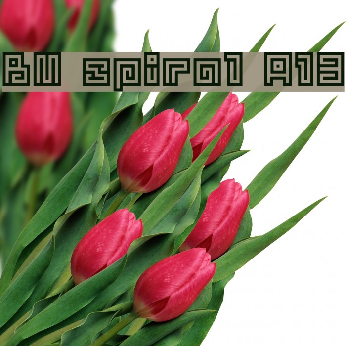 BM spiral A13 Font examples