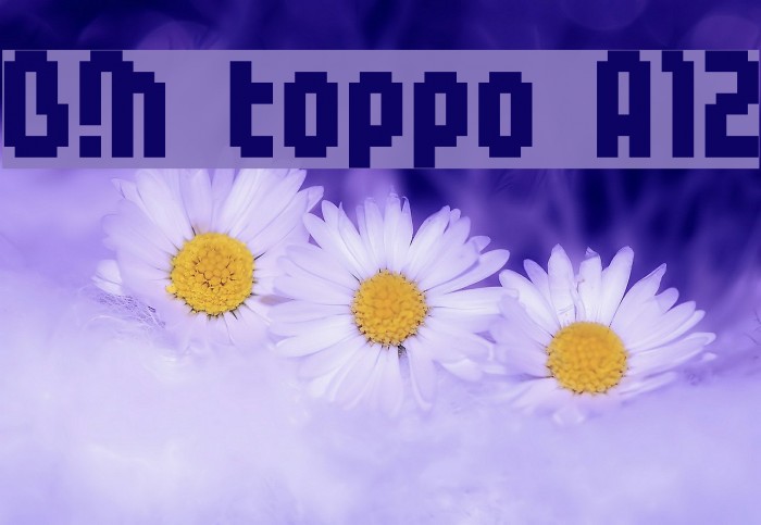 BM toppo A12 Example 1