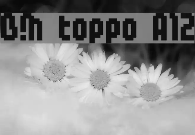 BM toppo A12 Font examples