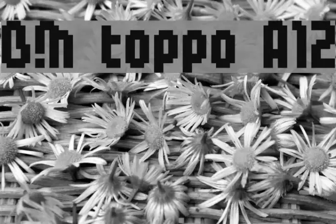 BM toppo A12 Font examples