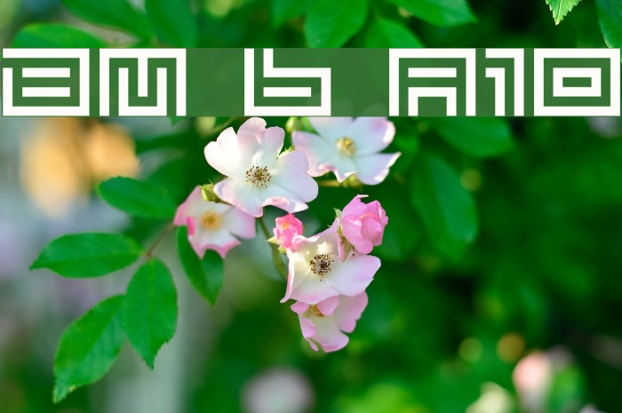 BM tube A10 Font examples