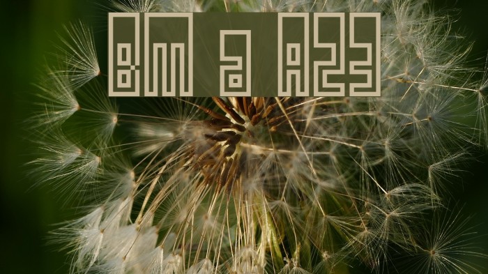 BM utopia A23 Font examples