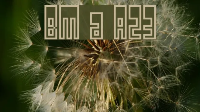 BM utopia A23 Example 1