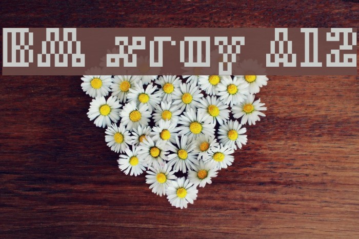 BM xray A12 Example 1