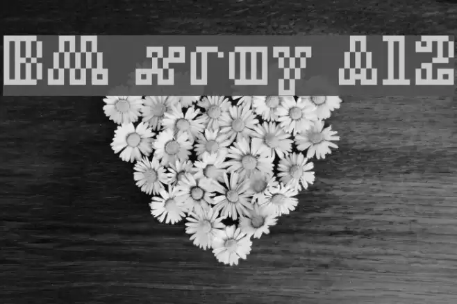 BM xray A12 Font examples