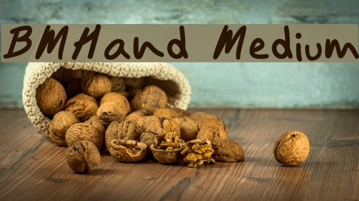 BMHand Medium Example 2