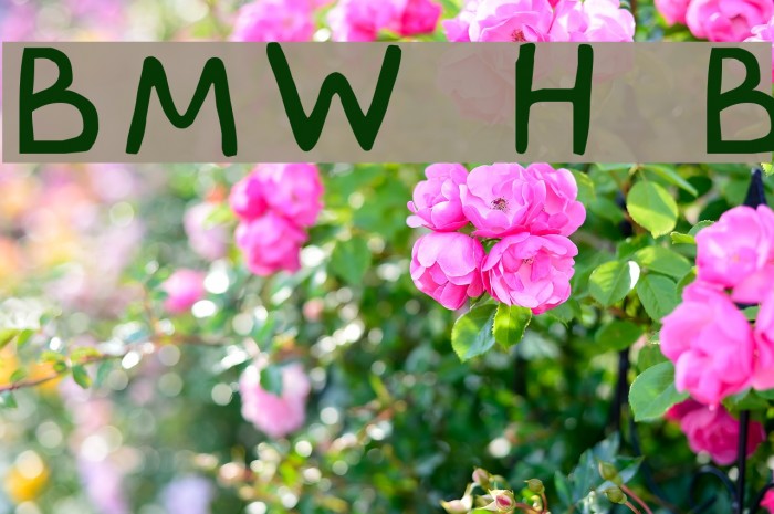 BMW Hisba Bahix Font examples