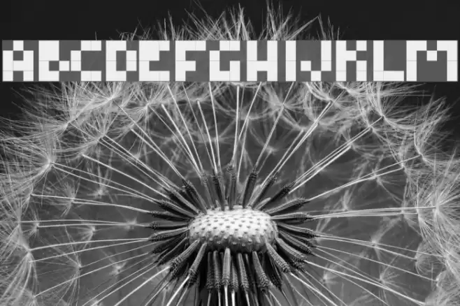 BM_Pixel Font examples