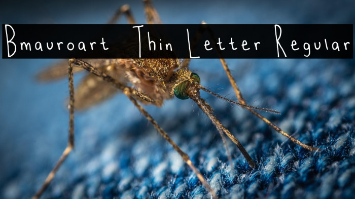 Bmauroart _ Thin Letter Regular Example 2