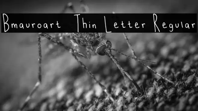 Bmauroart _ Thin Letter Regular Font examples