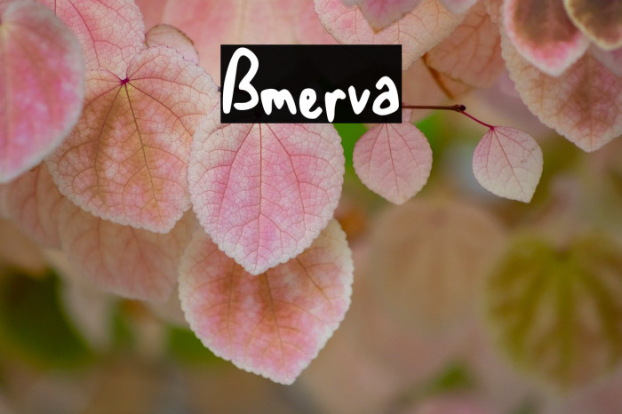 Bmerva Example 1