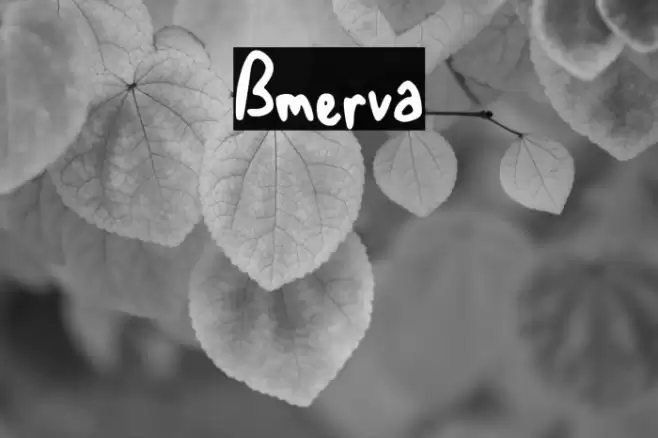 Bmerva Font examples