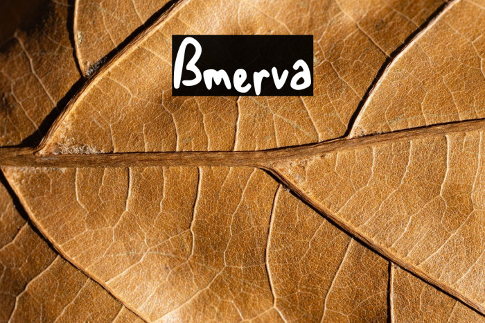 Bmerva Example 2