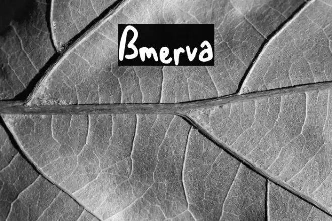 Bmerva Font examples