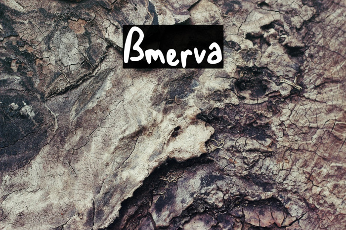 Bmerva Example 3