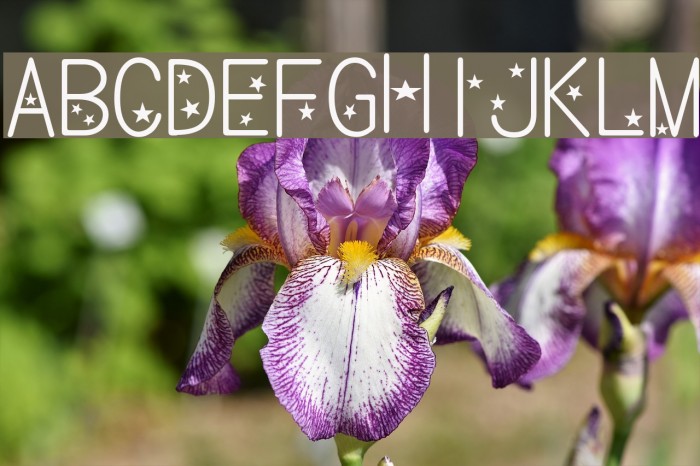 bm kirakira Font examples