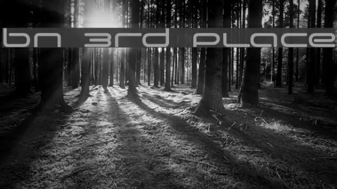 BN 3rd Place Font examples