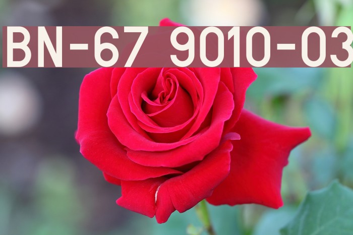 BN-67 9010-03 Font examples