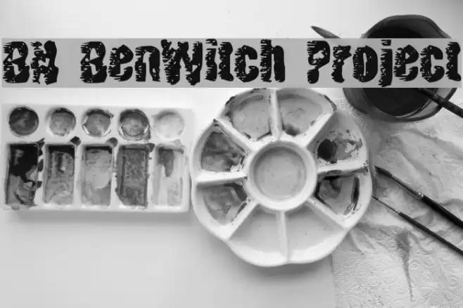 BN BenWitch Project Fonte examples