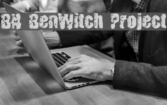 BN BenWitch Project Fonte examples