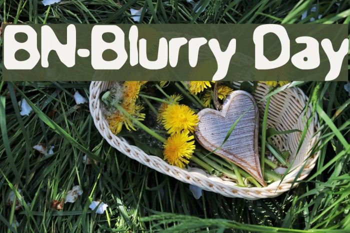BN-Blurry Day Font examples