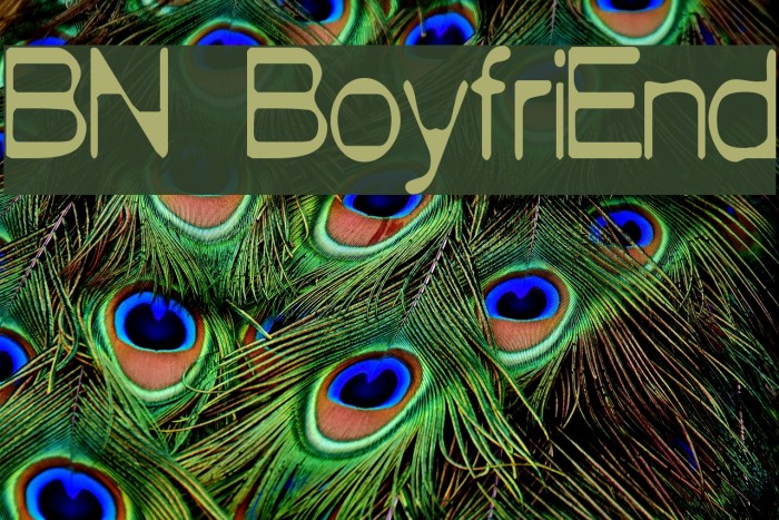 BN BoyfriEnd Font examples