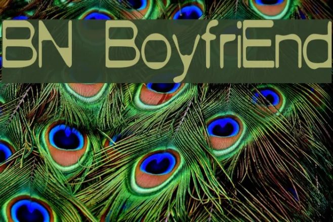 BN BoyfriEnd Example 1