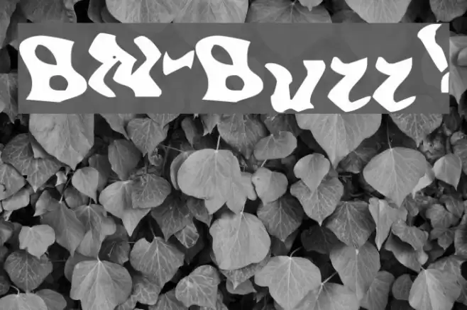 BN-Buzz! Font examples