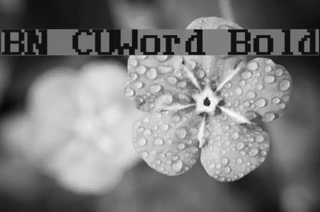 BN CUWord Bold Font examples