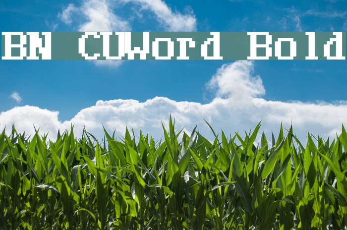 BN CUWord Bold Font examples