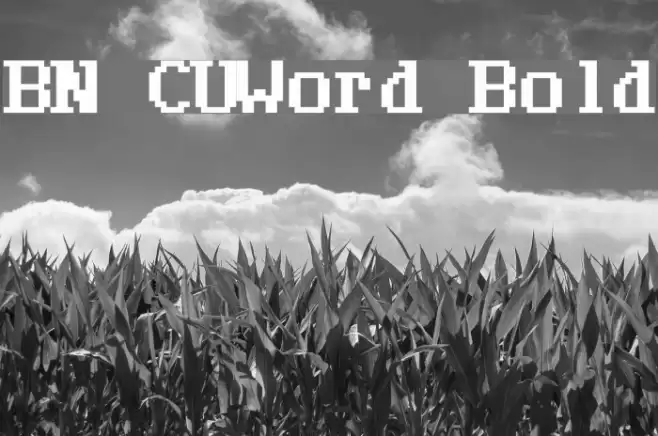 BN CUWord Bold Font examples