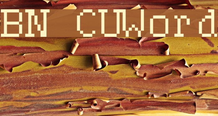 BN CUWord Font examples