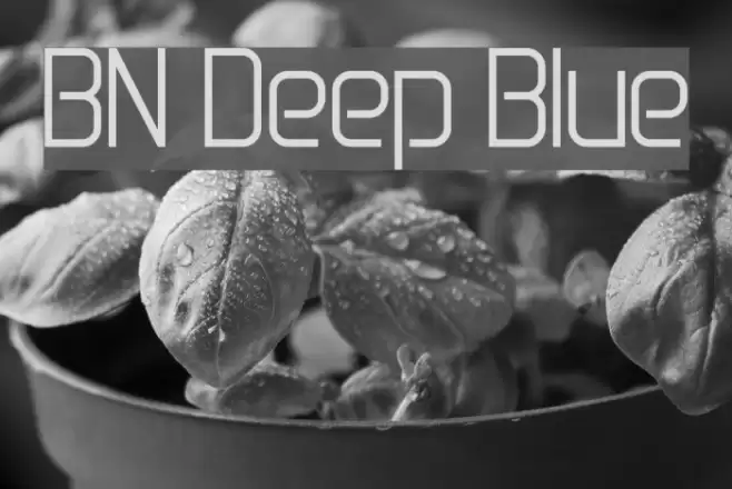 BN Deep Blue Font examples