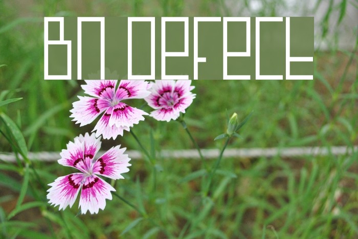 BN Defect Font examples