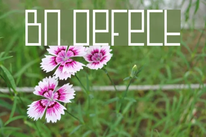 BN Defect Example 1