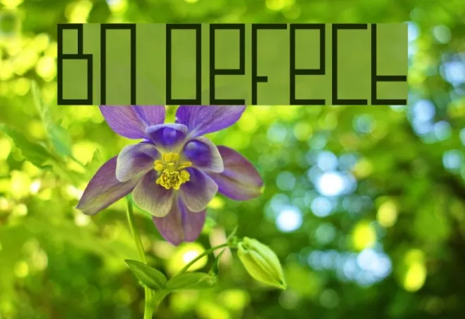 BN Defect Font - Free Download (TTF/OTF) | FFonts.net