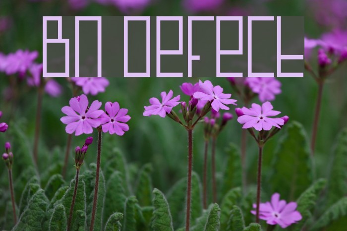 BN Defect Font examples