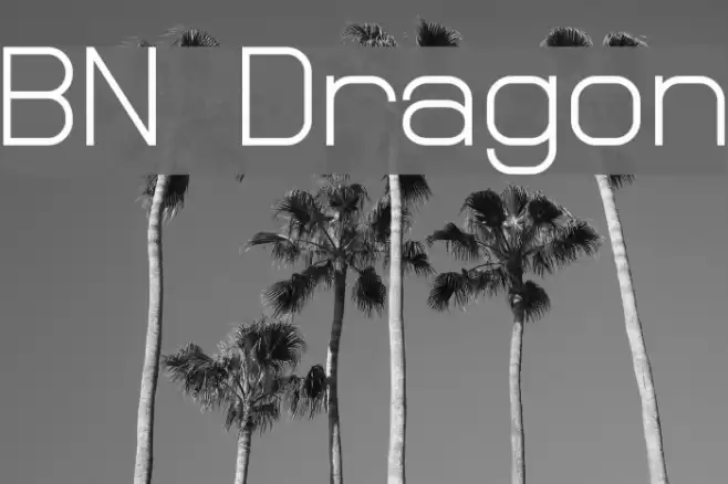 BN Dragon Font examples