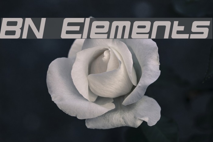BN Elements Fuentes examples