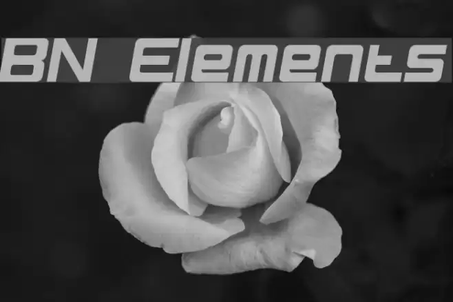 BN Elements Fuentes examples