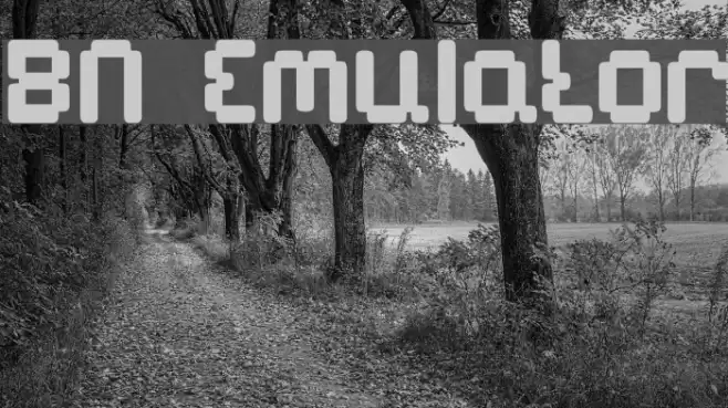 BN Emulator Fonte examples