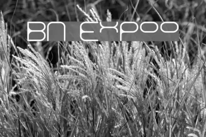 BN Expoo Font examples