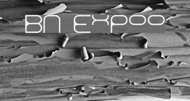 BN Expoo Font examples